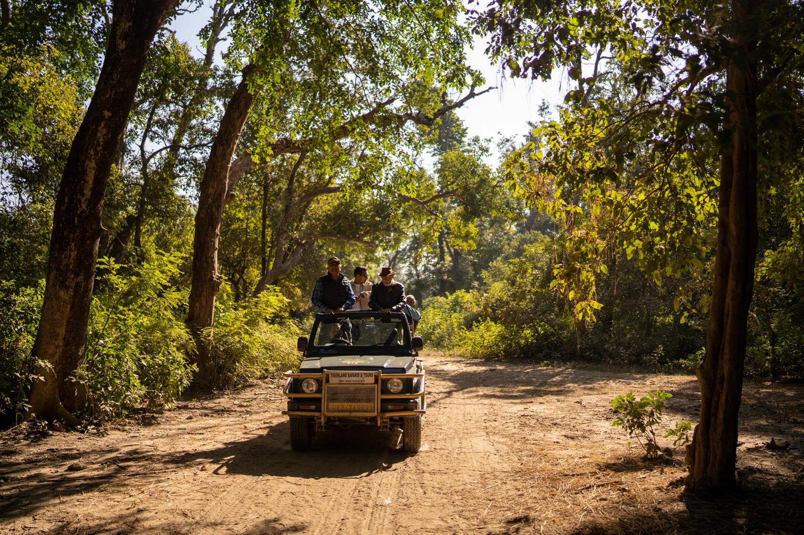 An open jeep with guests on a forest track