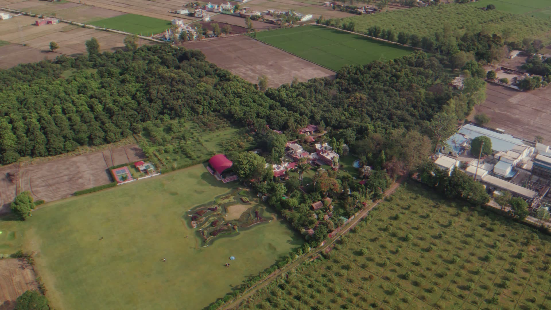 The farm from the air: orchards, fields and the house among the trees